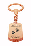 Best Friend Paws Urn Keyring - ETK06