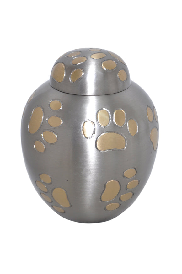 Silver Dome Top with Golden Paw Prints Urn - ETP28